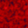 red6.gif